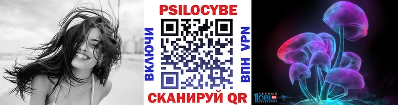 Купить закладки  Тотьма  Псилоцибиновые грибы Magic Shrooms 